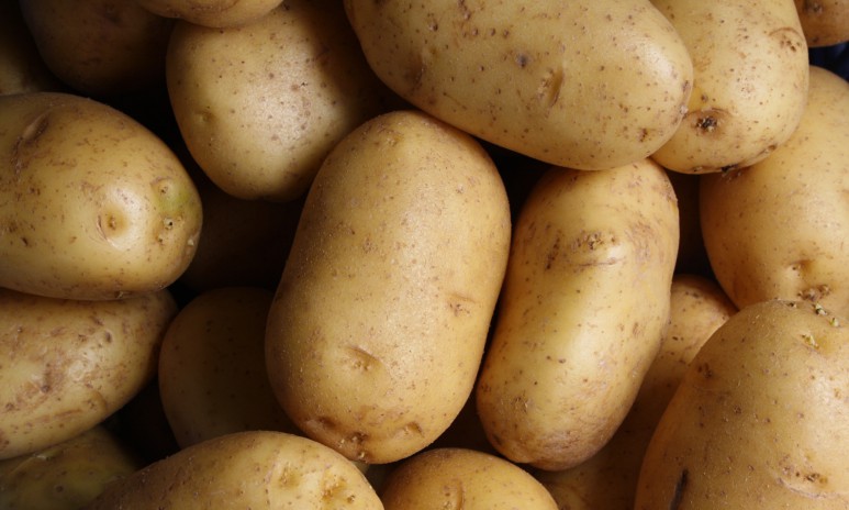 Patatas cocidas: 13 deliciosas recetas | Recetas Gallina Blanca