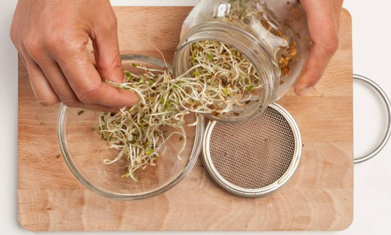 Conserva los brotes de soja