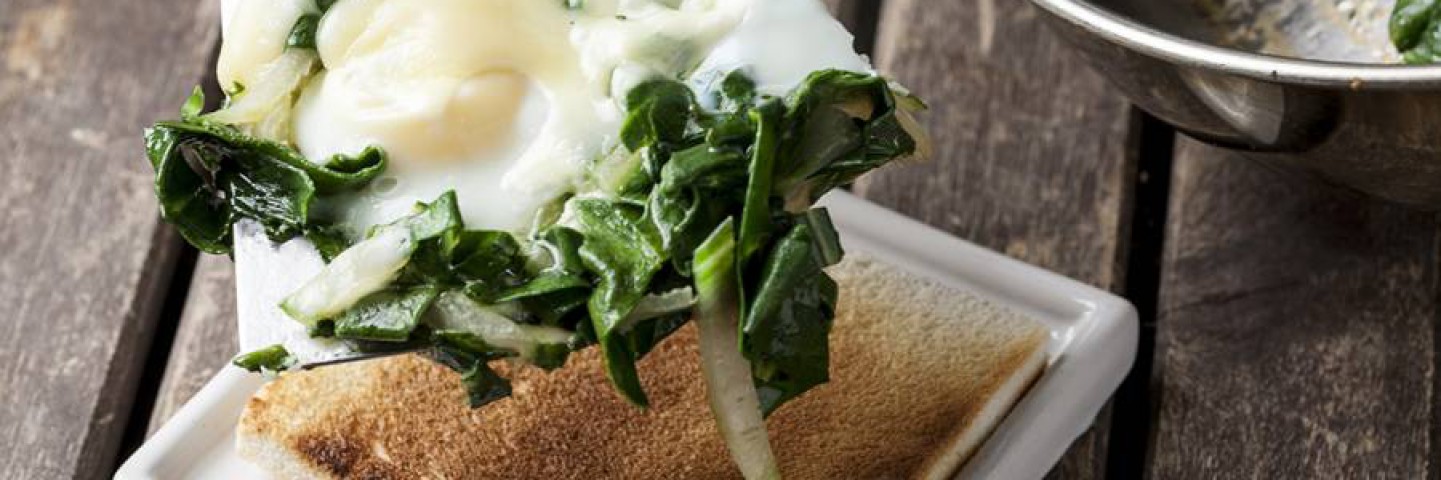 Recetas de Acelgas