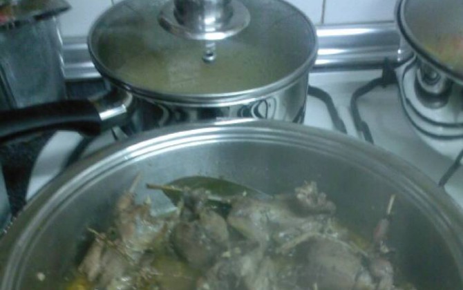 zorzales en salsa