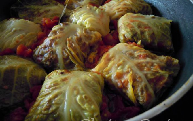 rollitos de repollo y carne estofados