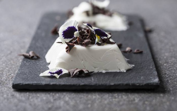 Panacota con chocolate