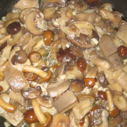 recetas setas variadas congeladas recetas setas variadas congeladas