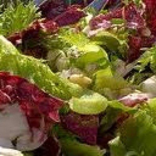ensalada multicolor con vinagreta de arandanos