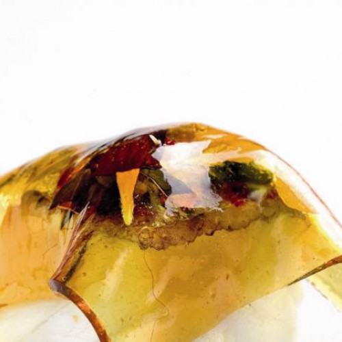 Bacalao con patatas, alioli de manzana y transparencia de miel