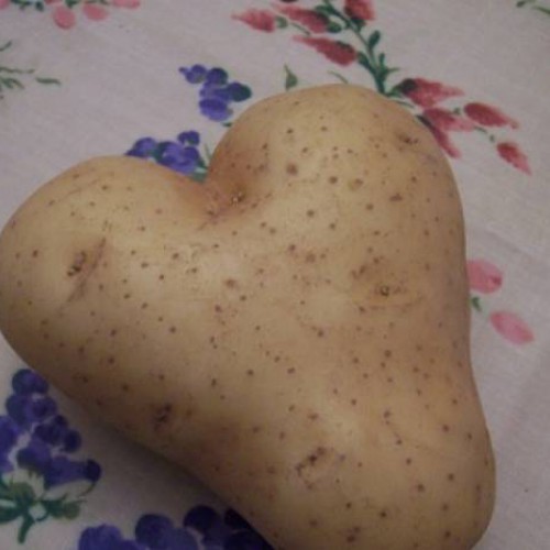 puré de habas
