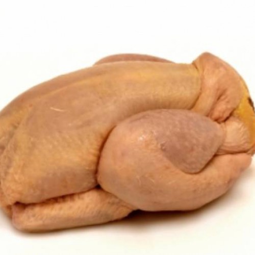 pollo escabechado