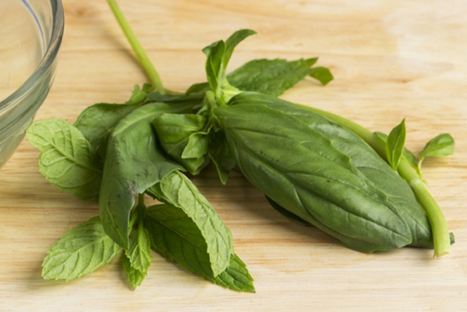 albahaca fresca