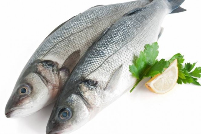pescado siempre fresco