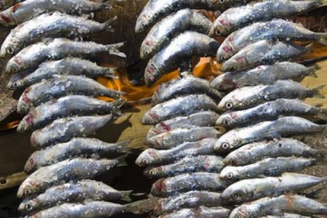 Sardinas A La Parrilla Recetas Gallina Blanca