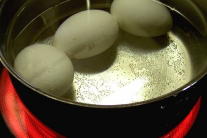 huevos